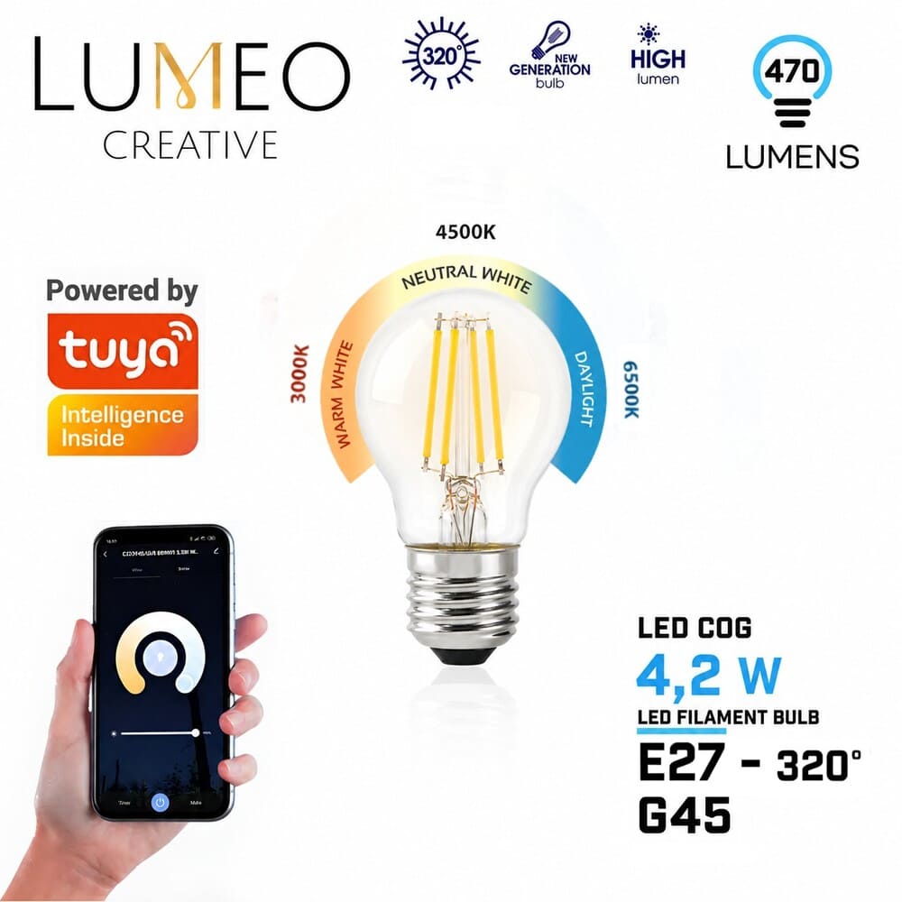Ampoule LED intelligente WIFI - E27 / G45 | 4.2W Dimmable