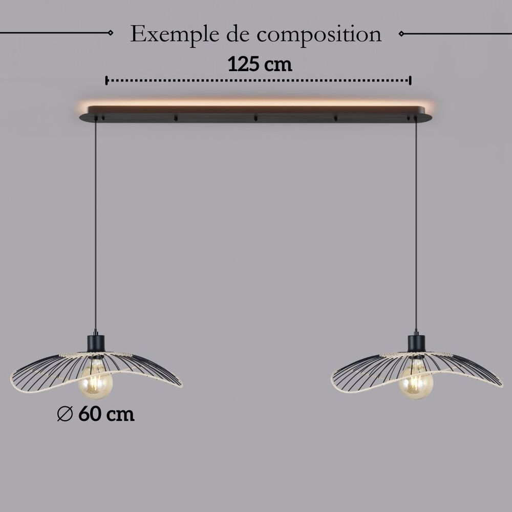 Caplin | 1 Suspension
