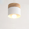 Suspension bois et métal coloré style nordique Blanc