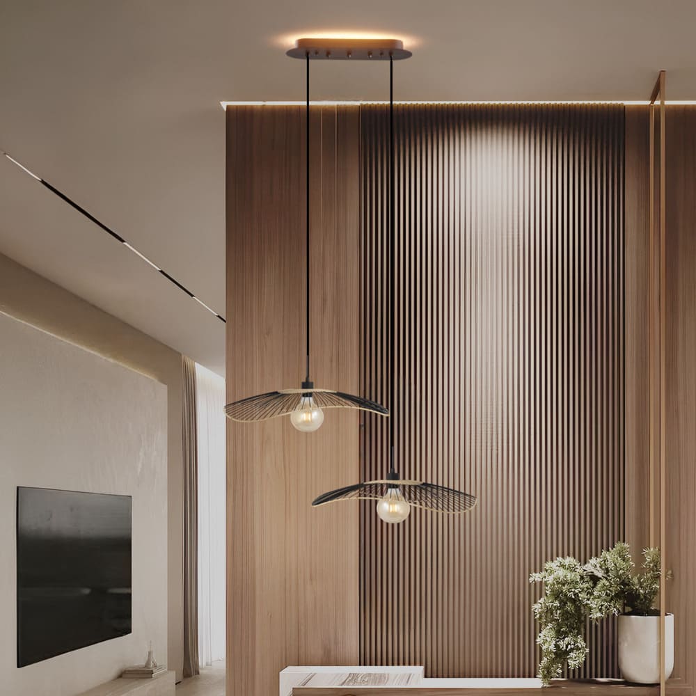 Caplin | 1 Suspension