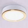 Spot LED extra plat multicolore | Éclairage discret pour plafond vitrine ou meuble 7W / Blanc et Or / Blanc froid