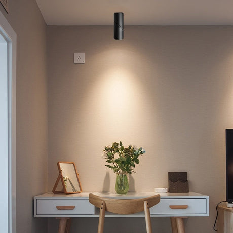 Spot plafond orientable design minimaliste | Noir ou blanc mat