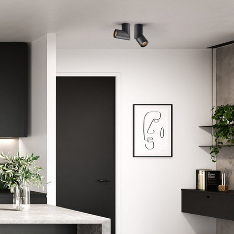 Spot plafond orientable design minimaliste | Noir ou blanc mat