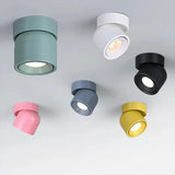 Spot plafonnier LED orientable | Design compact & coloré