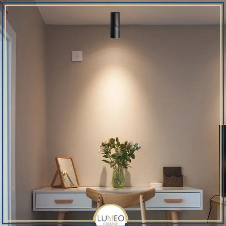Spot plafond orientable design minimaliste | Noir ou blanc mat